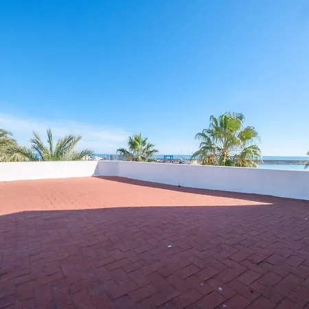 Palmeras 4 *